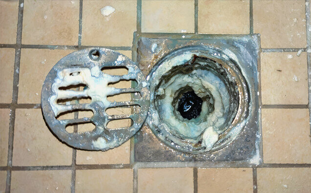 https://blockeddrainsjoondanna.com.au/uploads/2025/07/blocked-shower-drains-33151.jpg