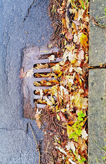 https://blockeddrainsjoondanna.com.au/uploads/2025/07/stormwater-drains-48051.jpg